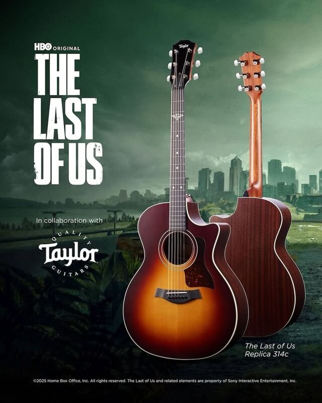 Taylor - Violão The Last Of Us