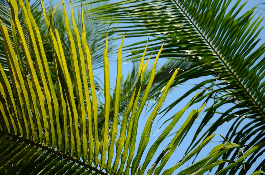 Palm Muting