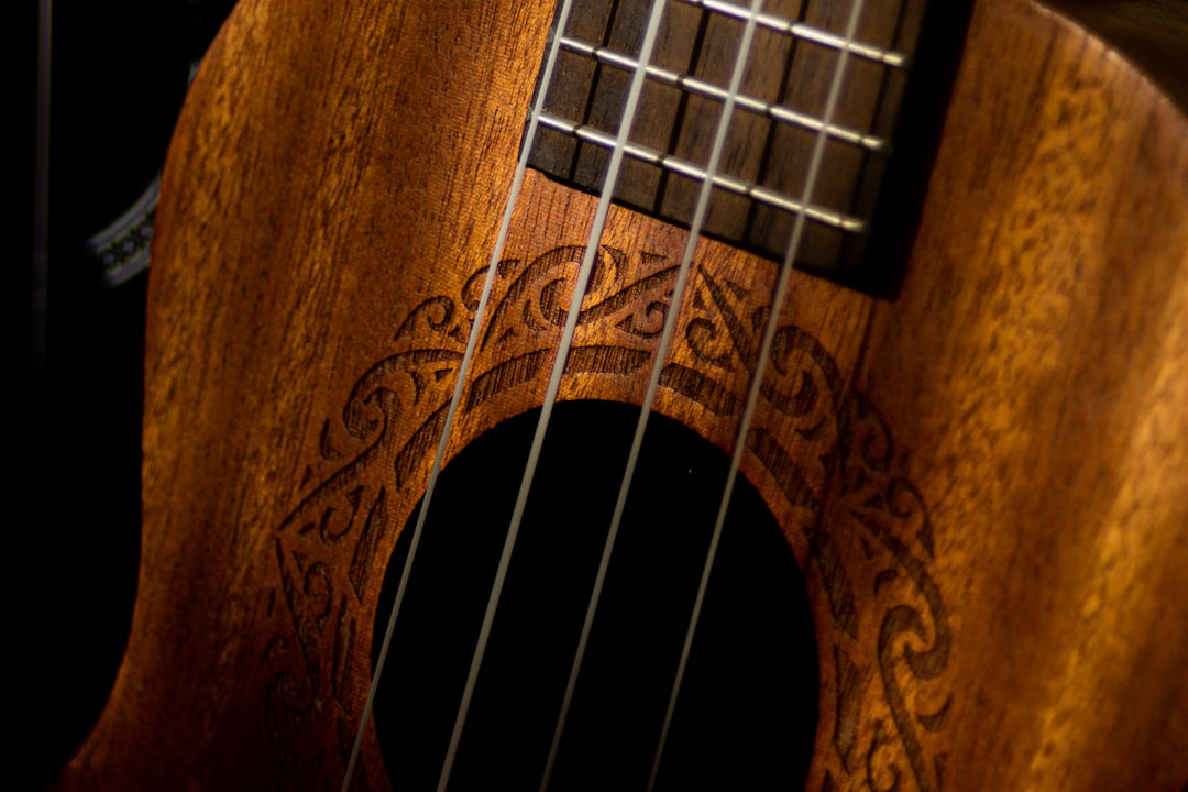 Photo Samba Guitar